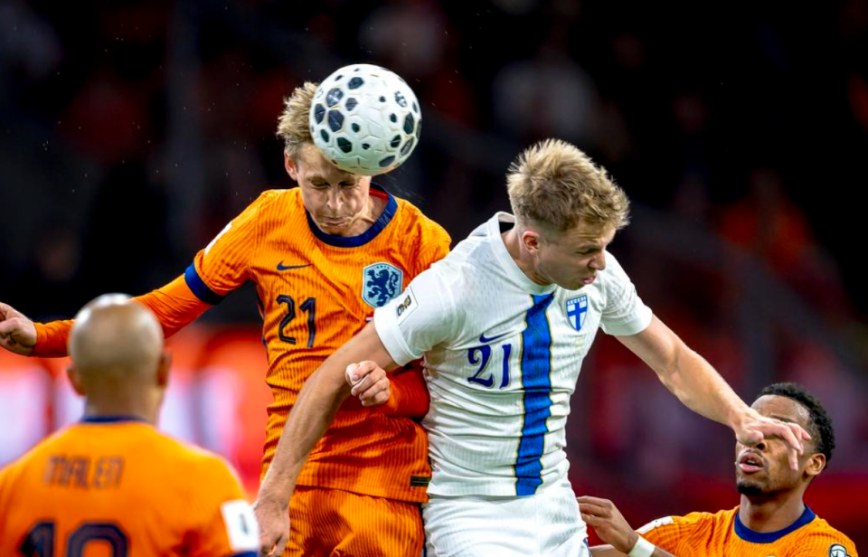 如自己的芬 如自己的芬