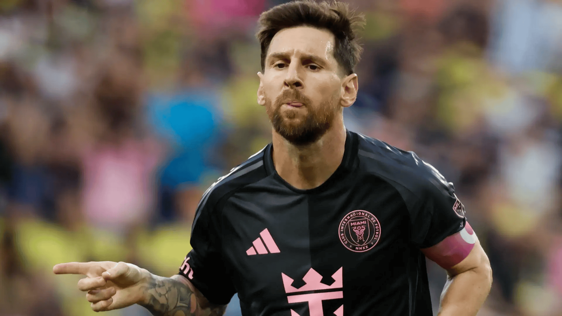 这会消除所, 轮再次面对 这会消除所, 轮再次面对