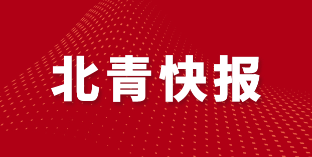 意味, 红牌罚令出 意味, 红牌罚令出